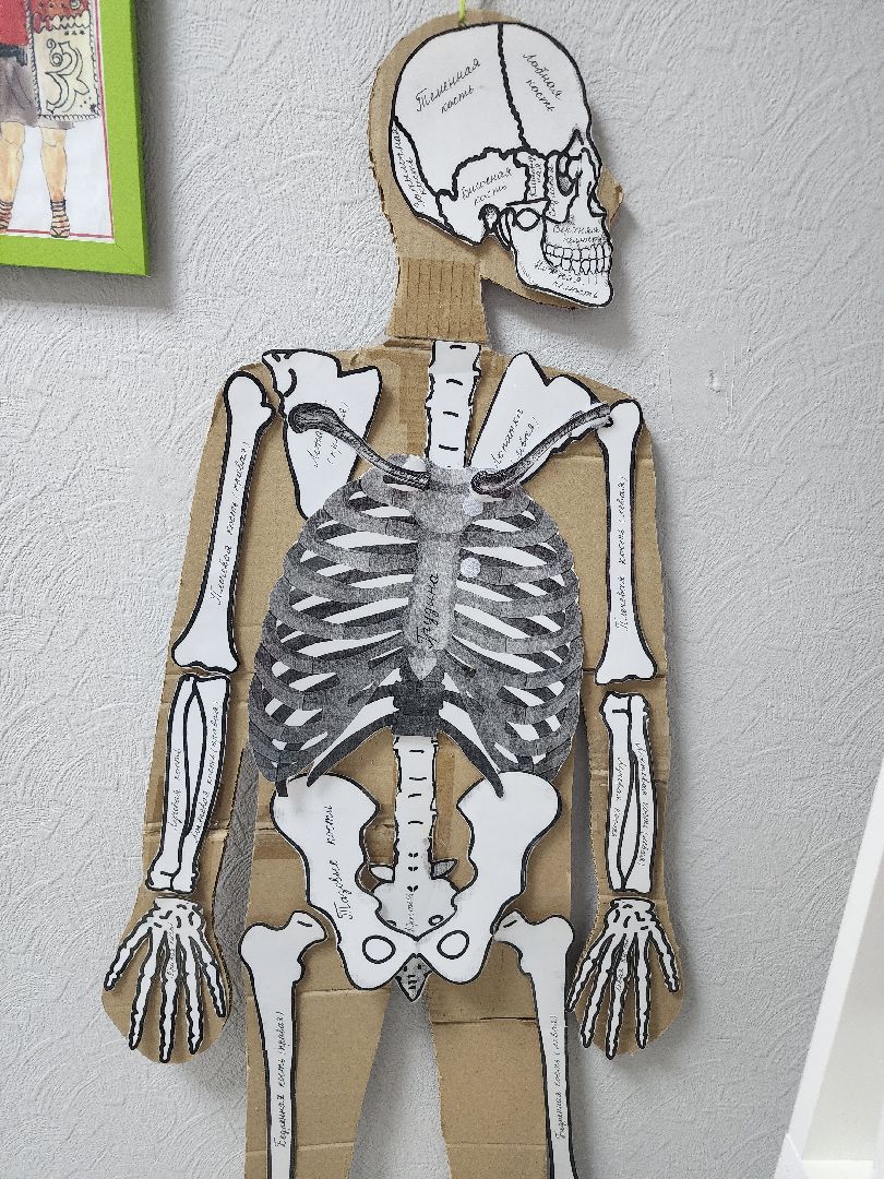 фрязино, детский центр, монтессори, предприниматели, дети,