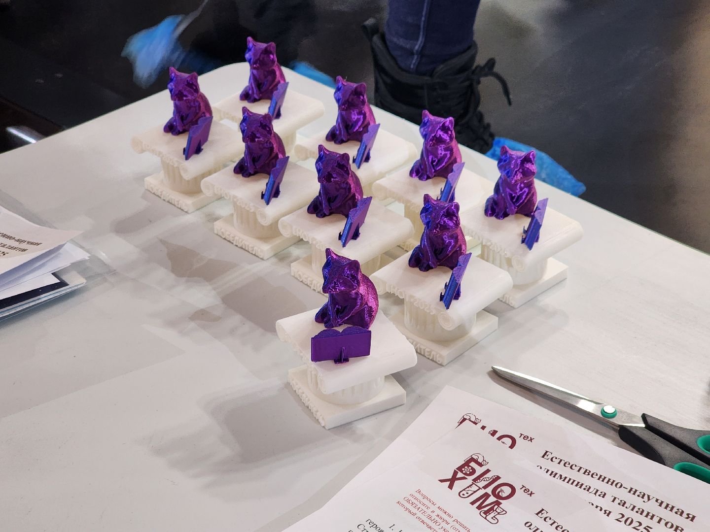 долгопрудный, технопарк физтех-лицея, олимпиады школьников, палеонтологическая олимпиада, олимпиада ЕНОТ, школьники, дети, вертикалки,