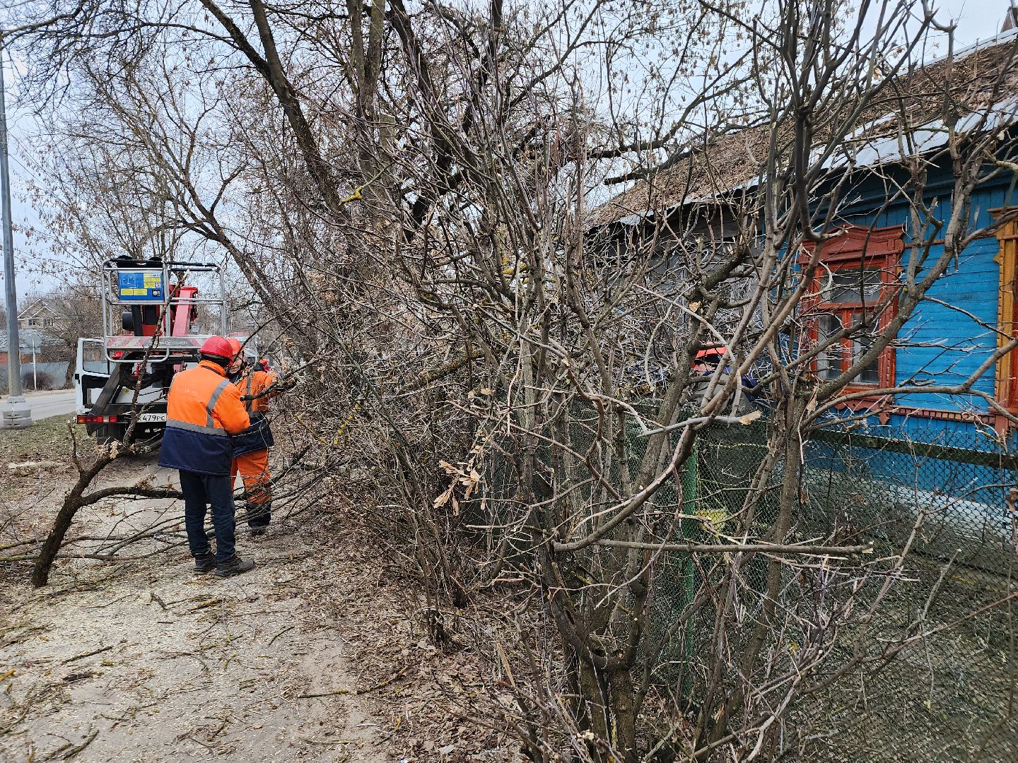 серпухов, подмосковье, спилили деревья, вертикалки,