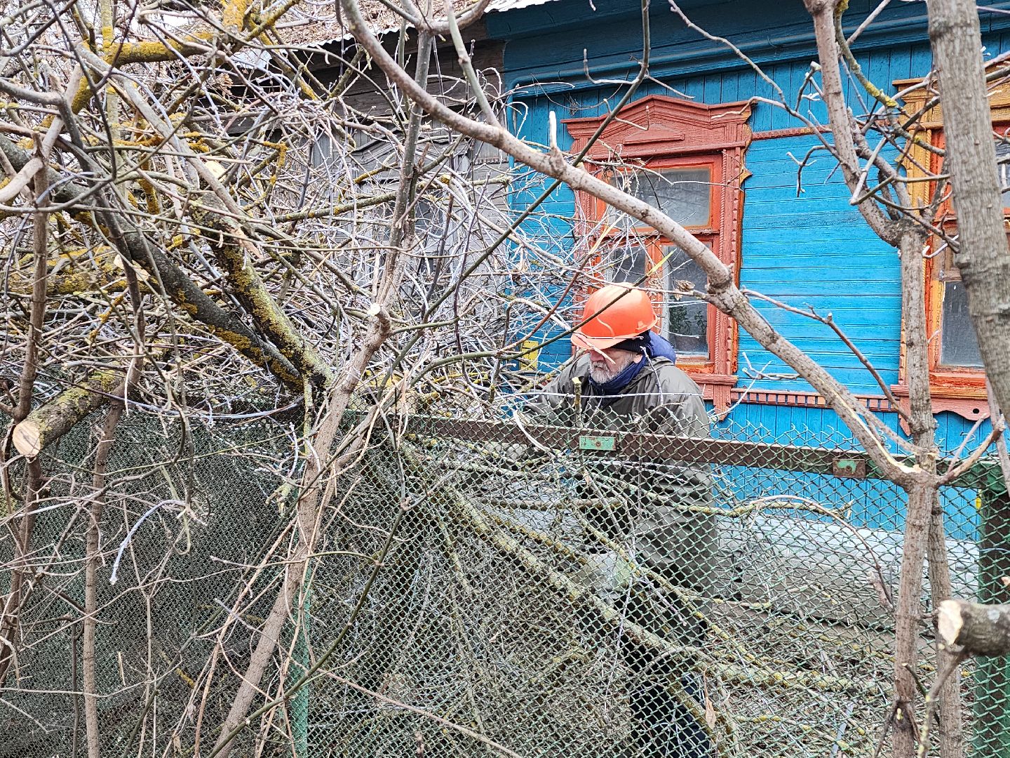 серпухов, подмосковье, спилили деревья, вертикалки,