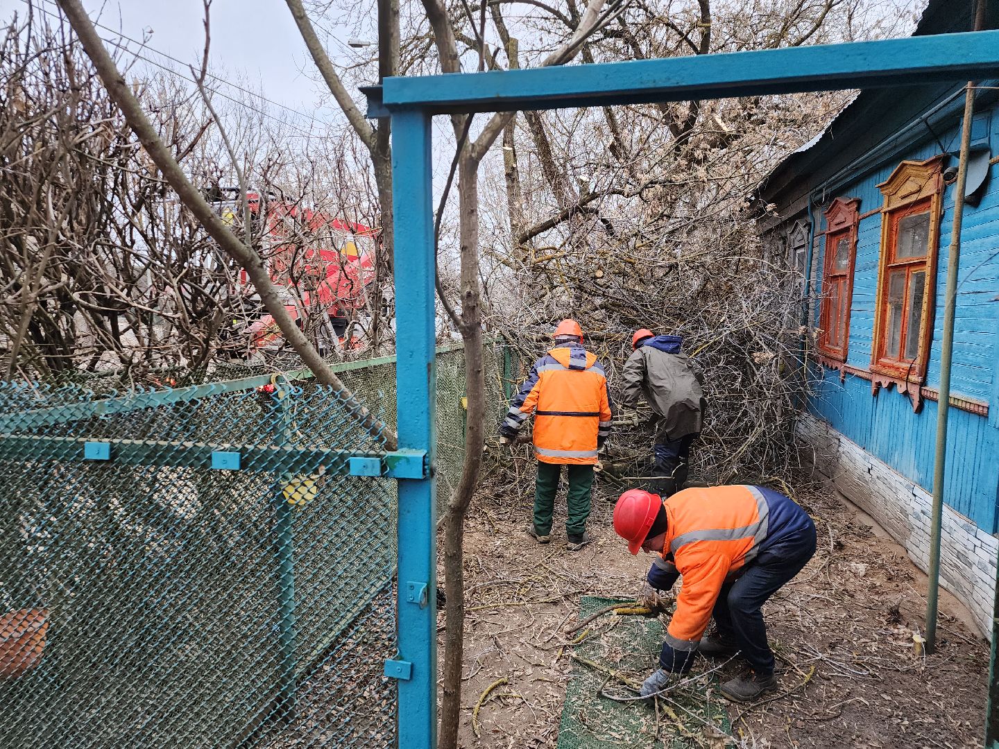 серпухов, подмосковье, спилили деревья, вертикалки,