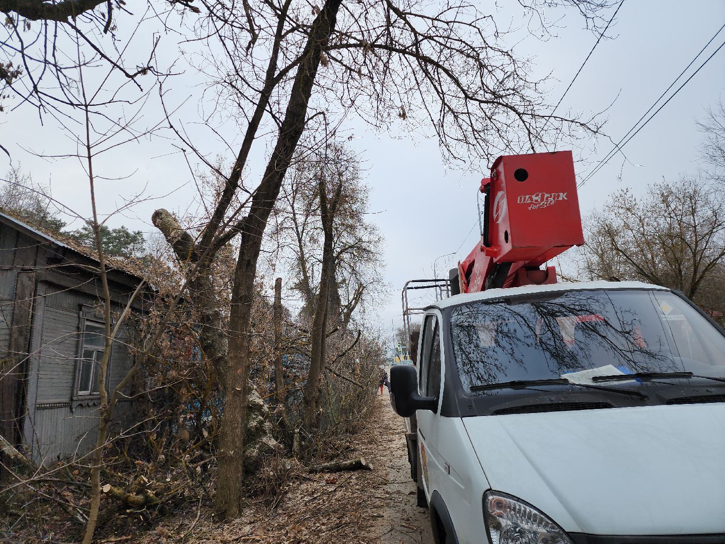 серпухов, подмосковье, спилили деревья, вертикалки,