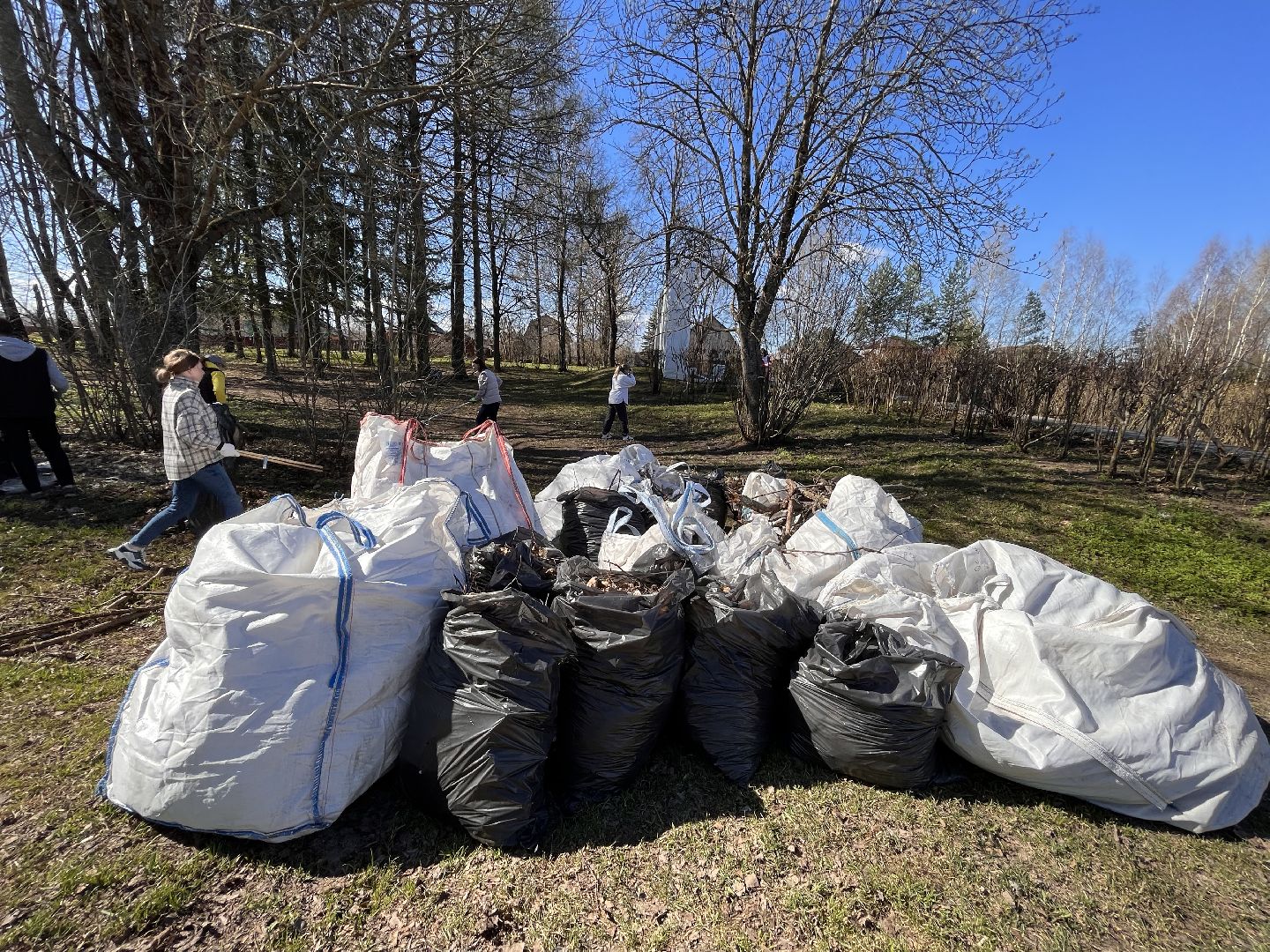Шаховская, субботник, Судислово
