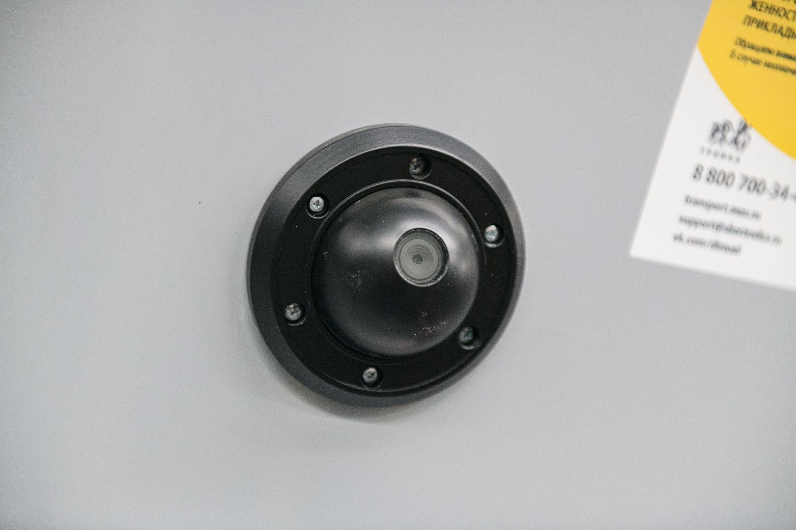 транспорт, мострансавто, лыткарино, новые автобусы, вертикалки,