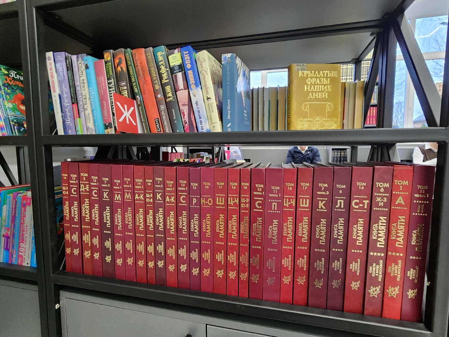 химки, библиотека, чтение, книги, ремонт, вертикалка