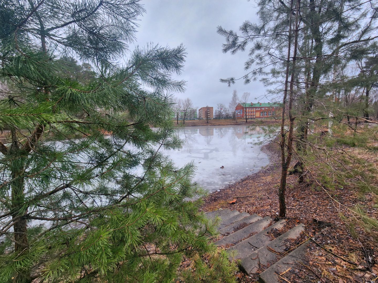 Коломна, благоустройство, лесопарк,