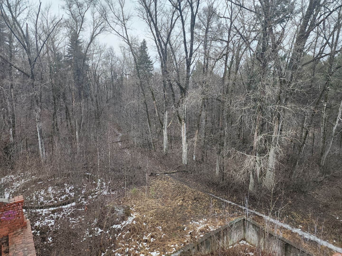 Коломна, усадьба, реставрация,