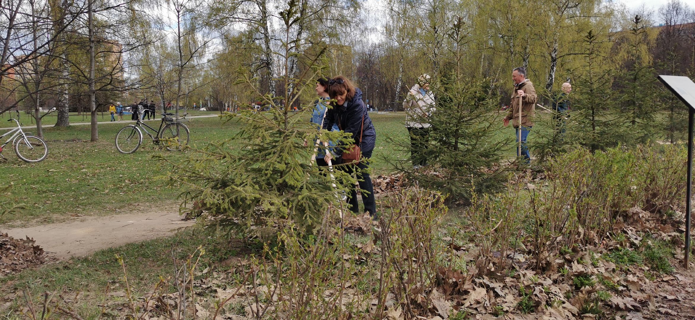 субботник, благоустройство,