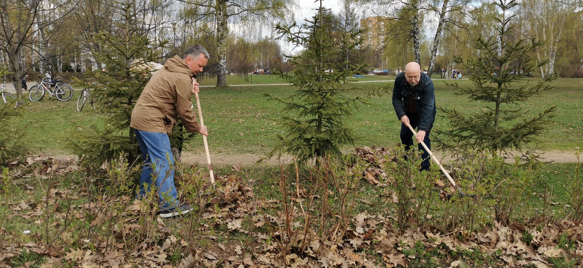 субботник, благоустройство,