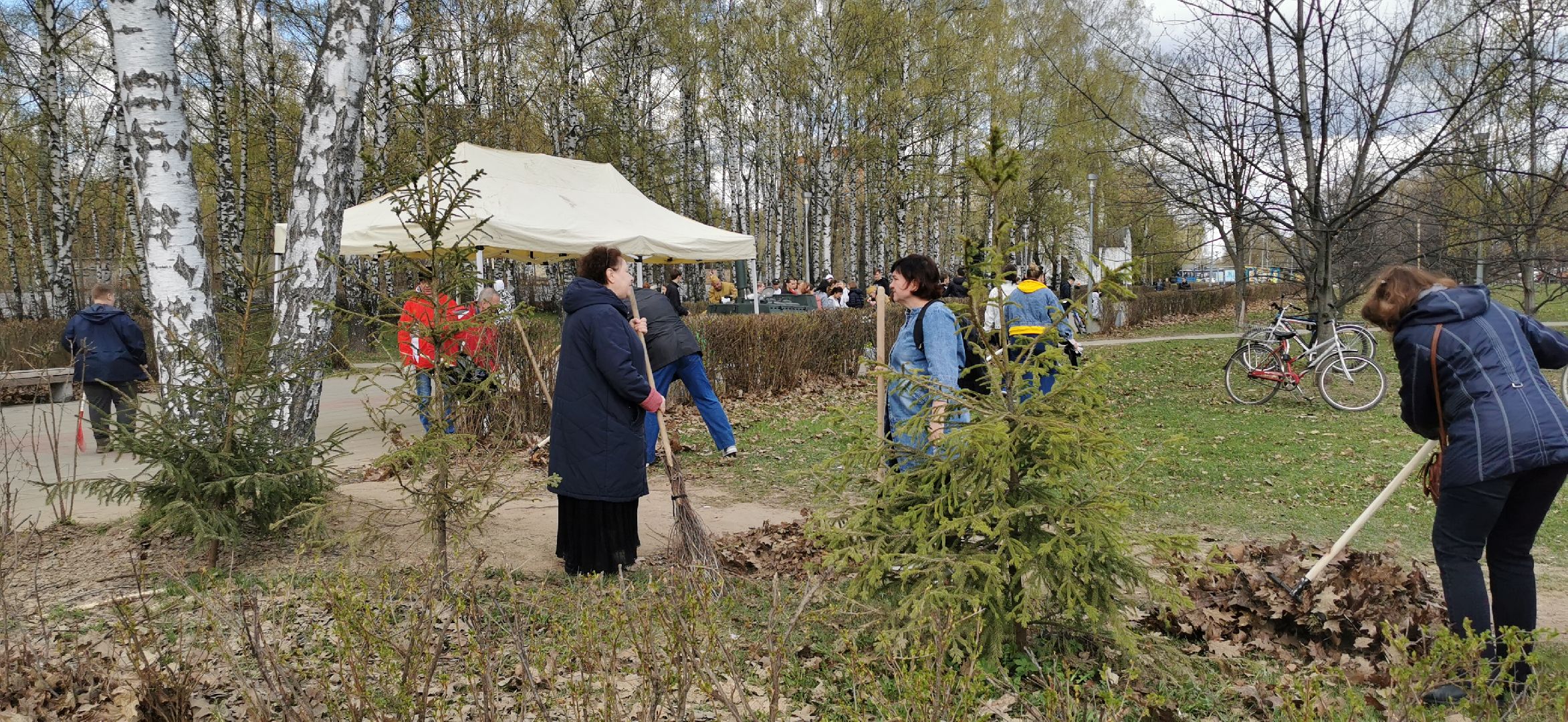 субботник, благоустройство,