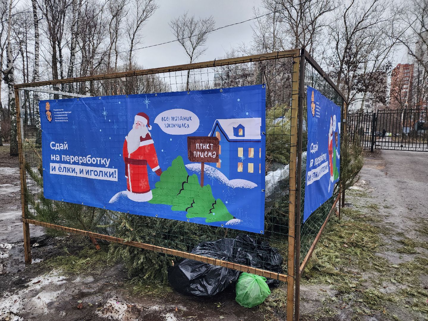 экологическая акция, утилизация елей, мытищи,