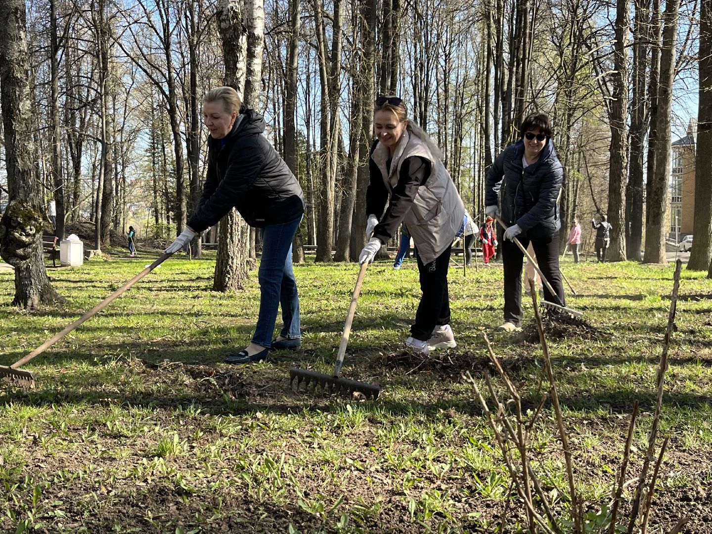 чистое Подмосковье, Наро-Фоминск, сквер, Бобруйский сквер, благоустройство
