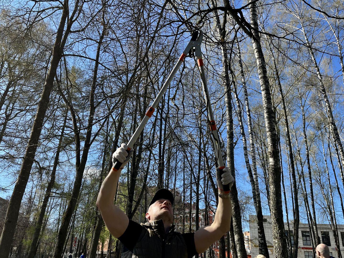 чистое Подмосковье, Наро-Фоминск, сквер, Бобруйский сквер, благоустройство
