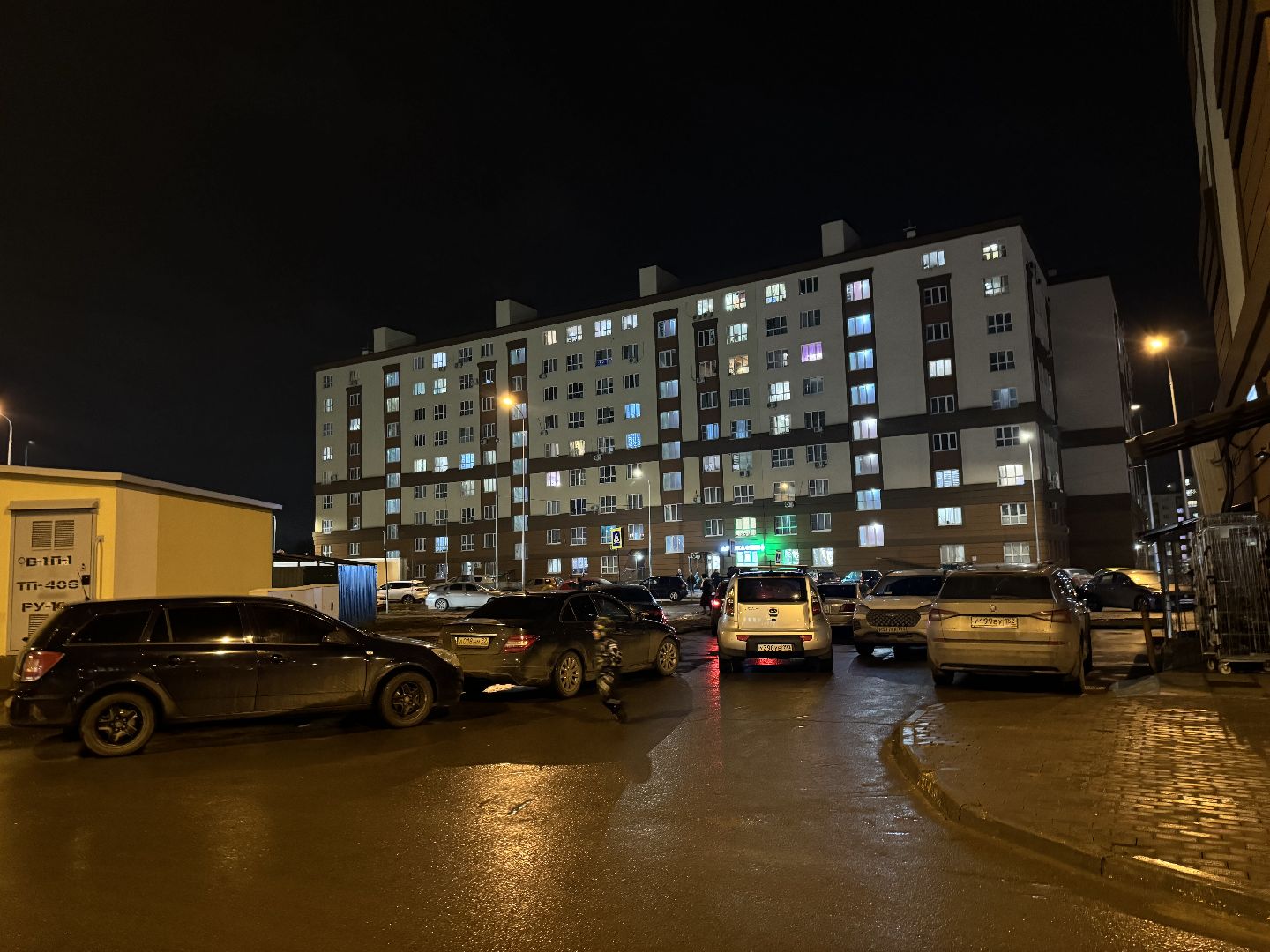 выездная администиация, Лопатино, жители ленинского округа, власть и общество,