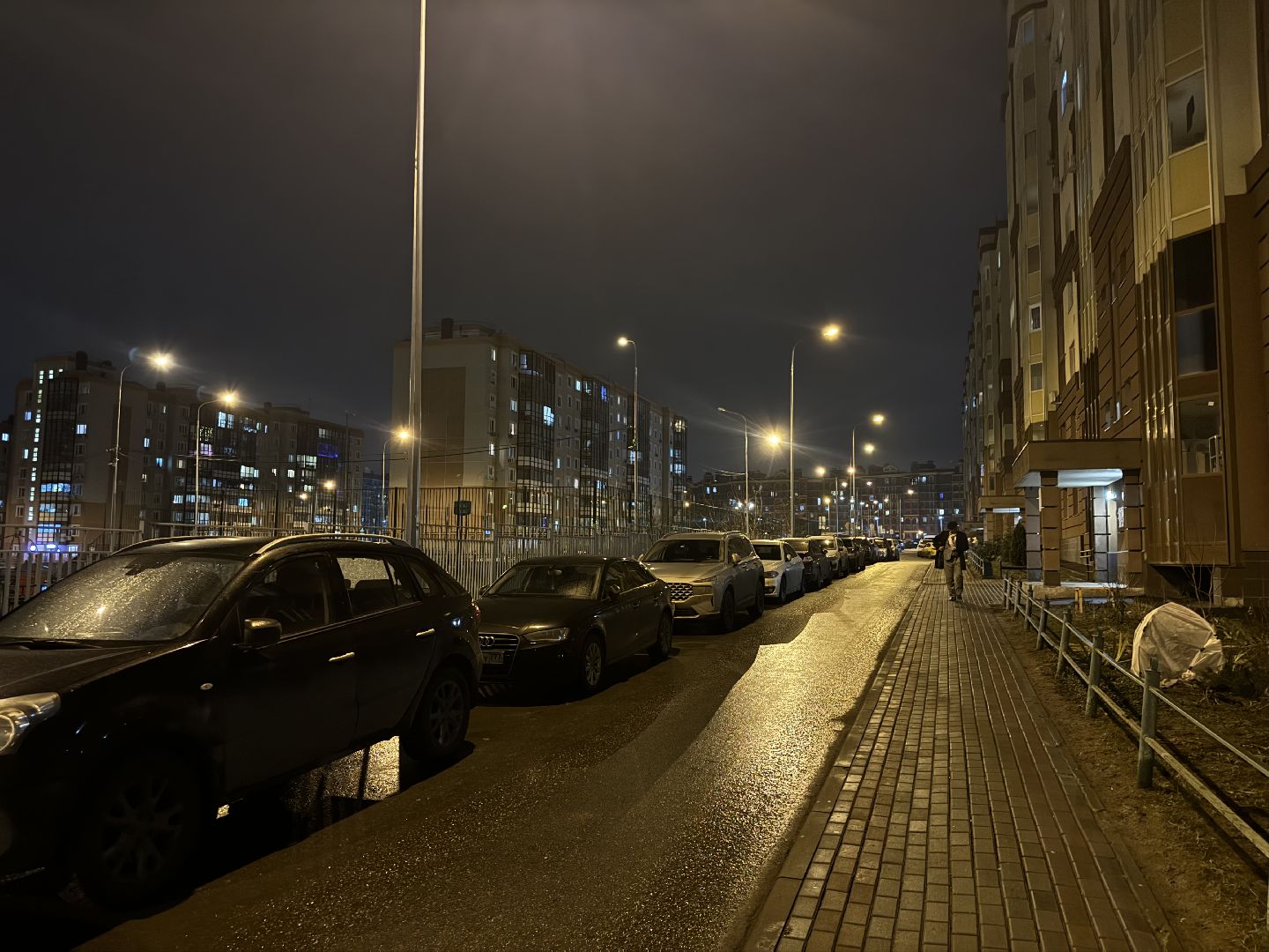 выездная администиация, Лопатино, жители ленинского округа, власть и общество,