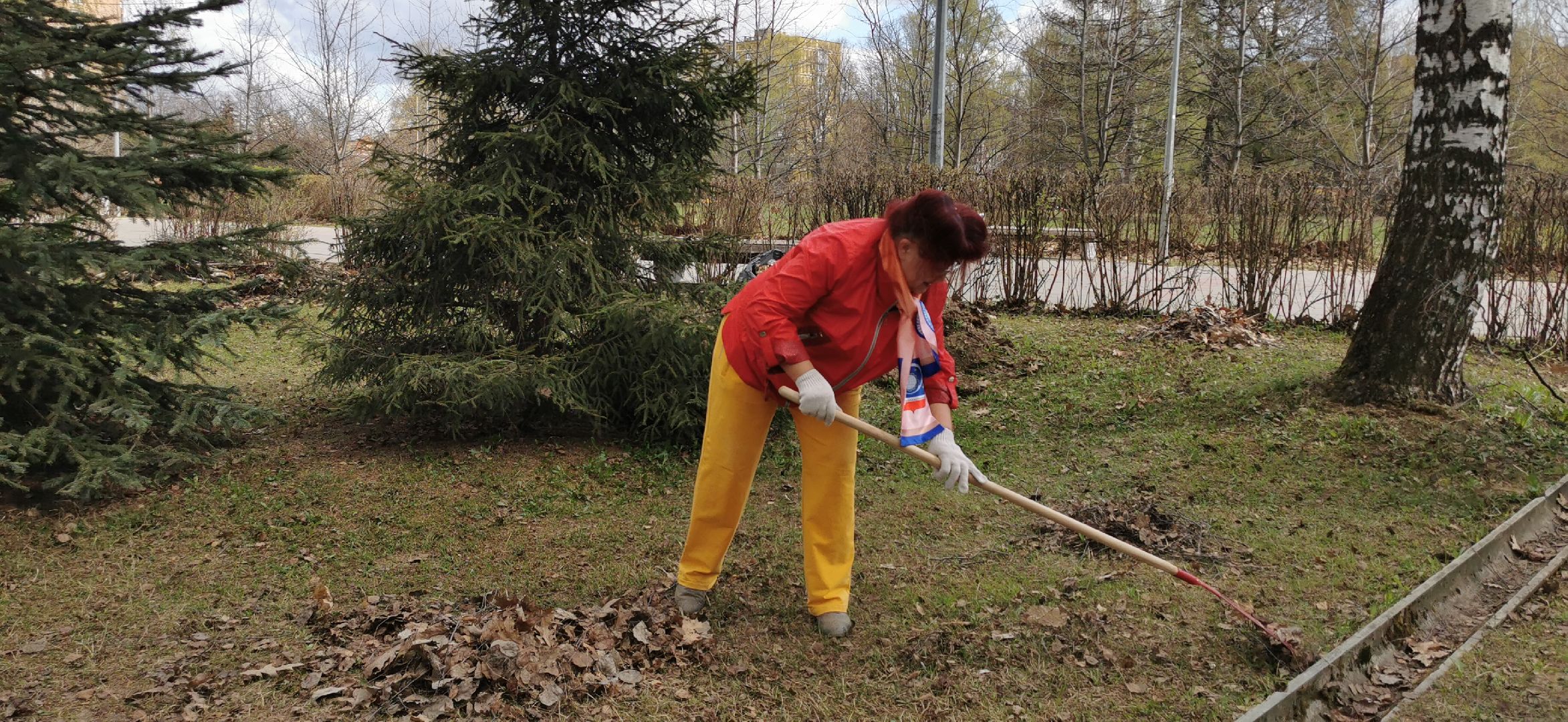 благоустройство, субботник,