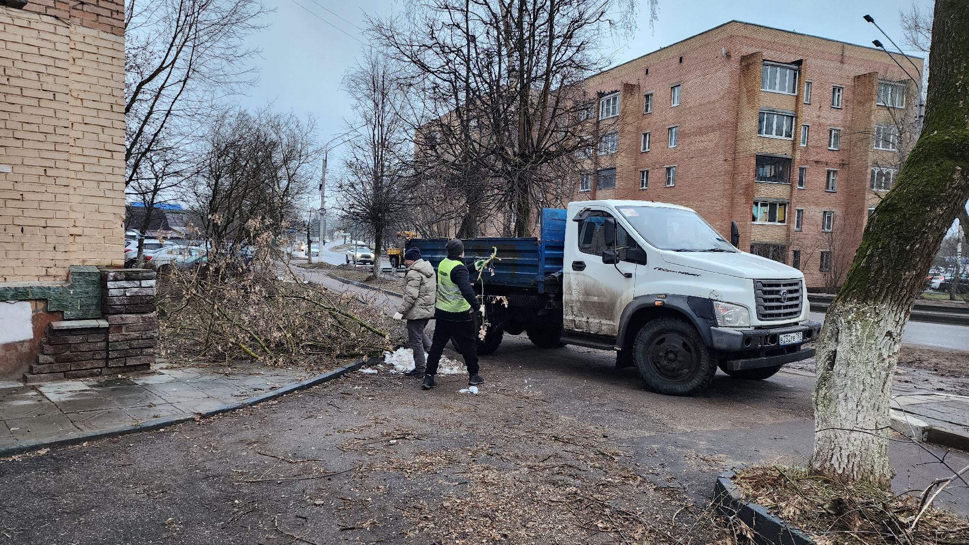 вывоз порубленных деревьев, благоустройство, истра, вертикалка,