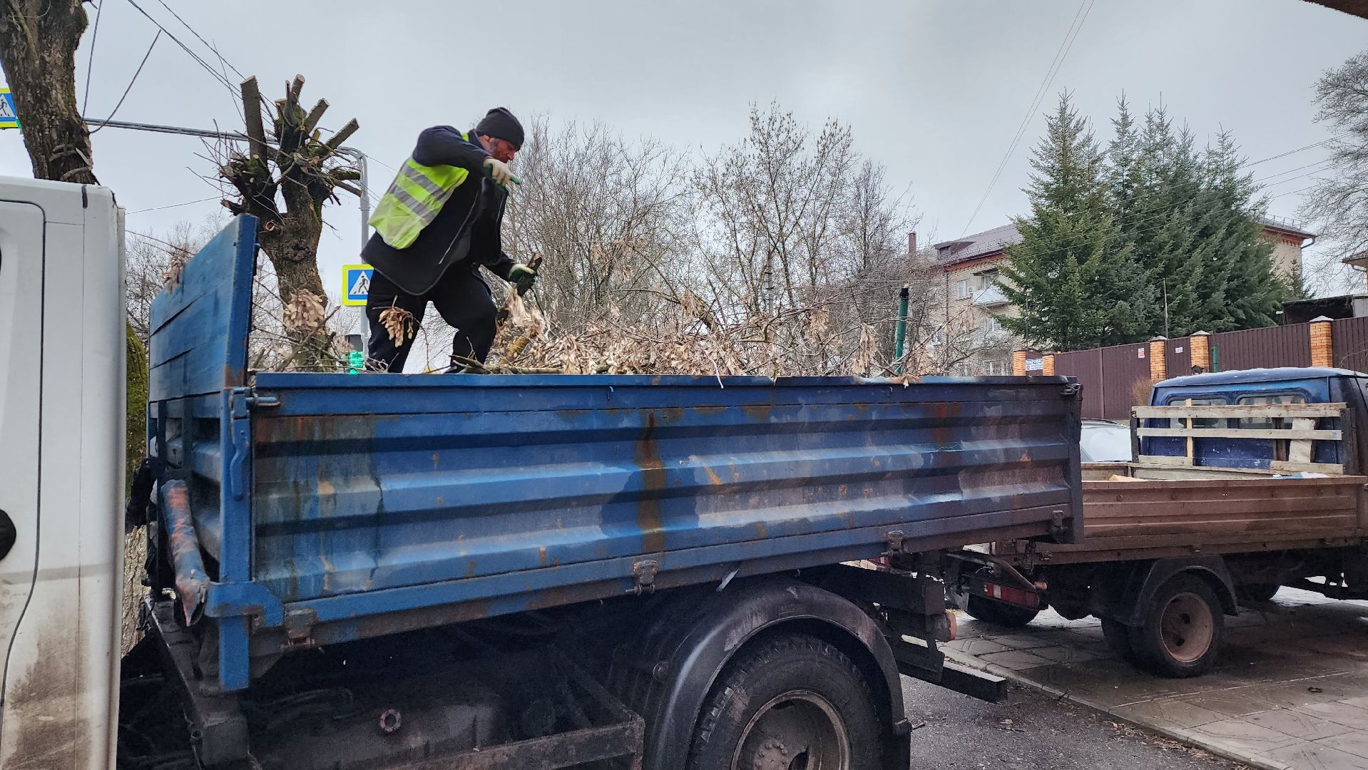 вывоз порубленных деревьев, благоустройство, истра, вертикалка,