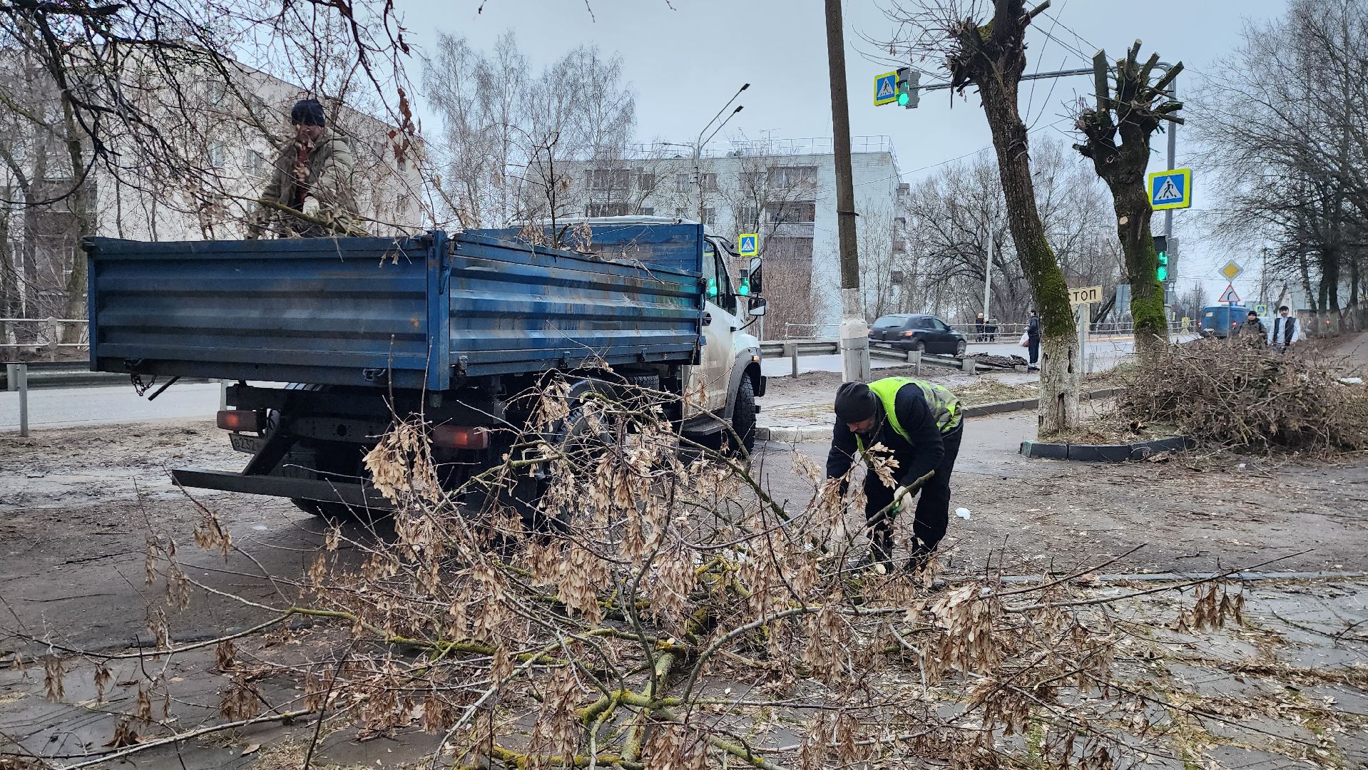 вывоз порубленных деревьев, благоустройство, истра, вертикалка,