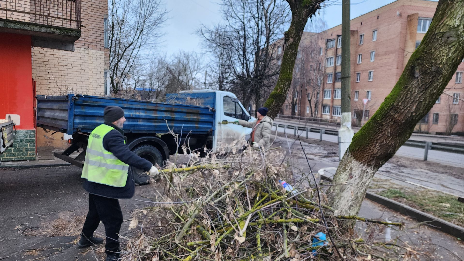 вывоз порубленных деревьев, благоустройство, истра, вертикалка,