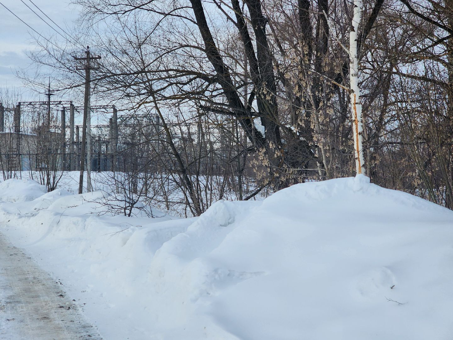 вертикалки, павловский посад, парк, благоустройство,