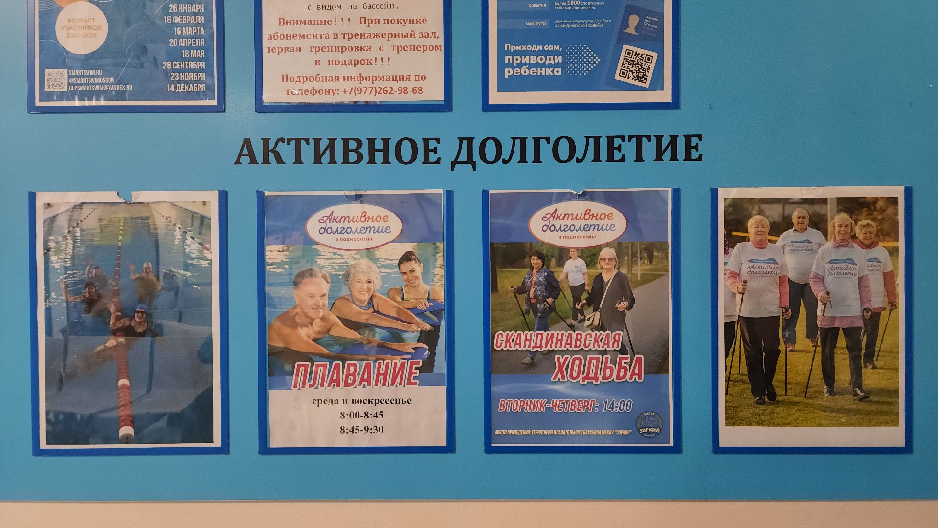 вертикалки, бассейн, активное долголетие, спорт для всех,