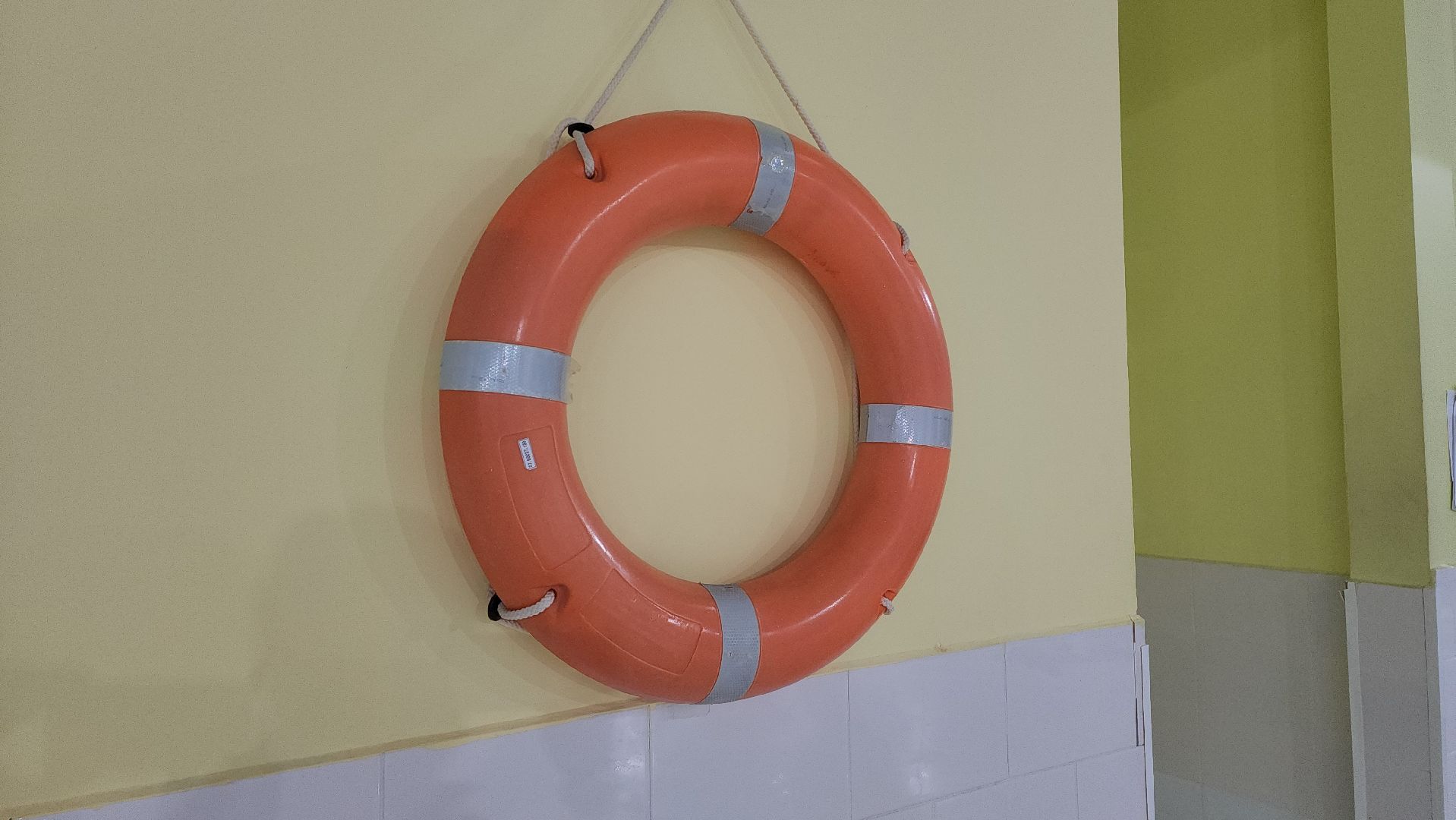 вертикалки, бассейн, активное долголетие, спорт для всех,