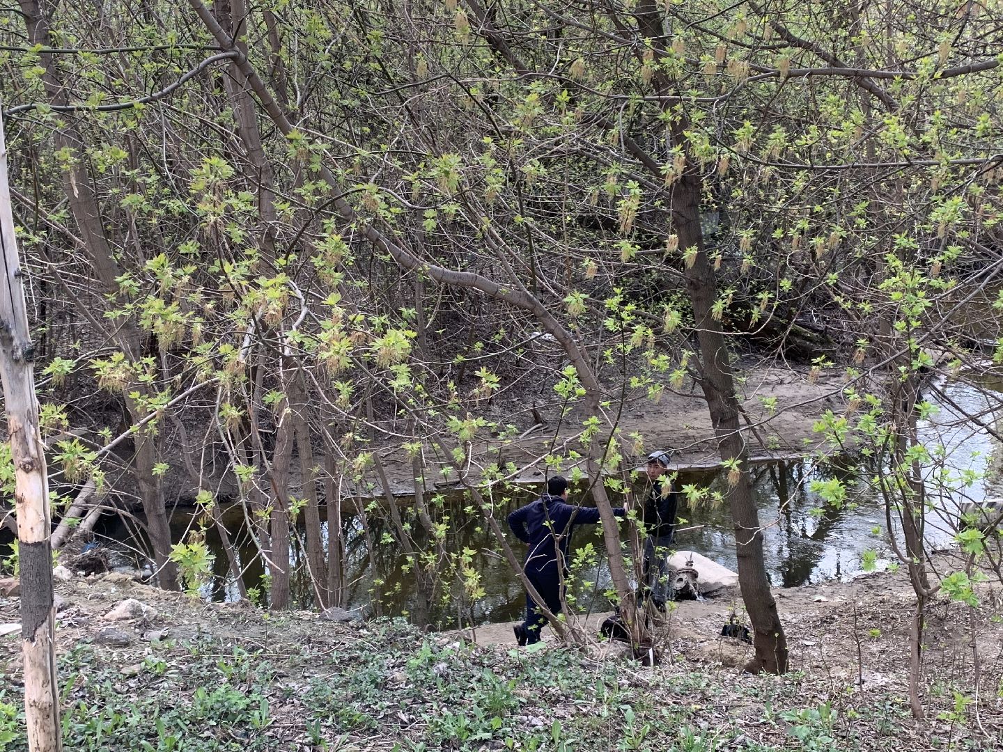 Субботник,Красногорск