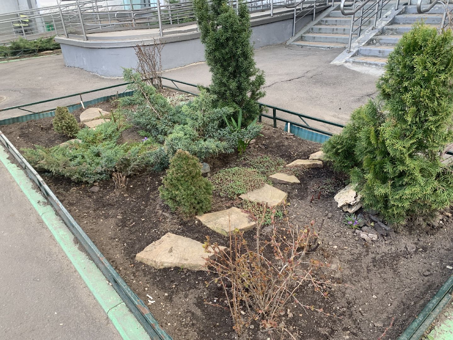 Субботник,Красногорск