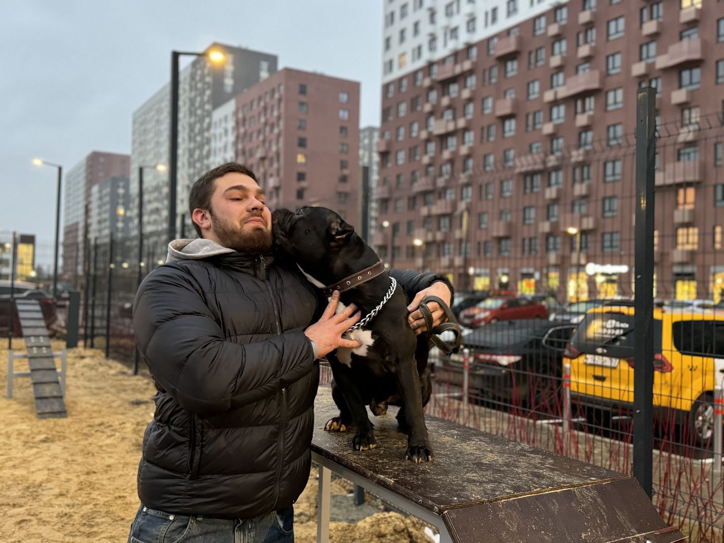 площадка для выгула собак, жк горки парк, кинологическая площадка, вертикалки,