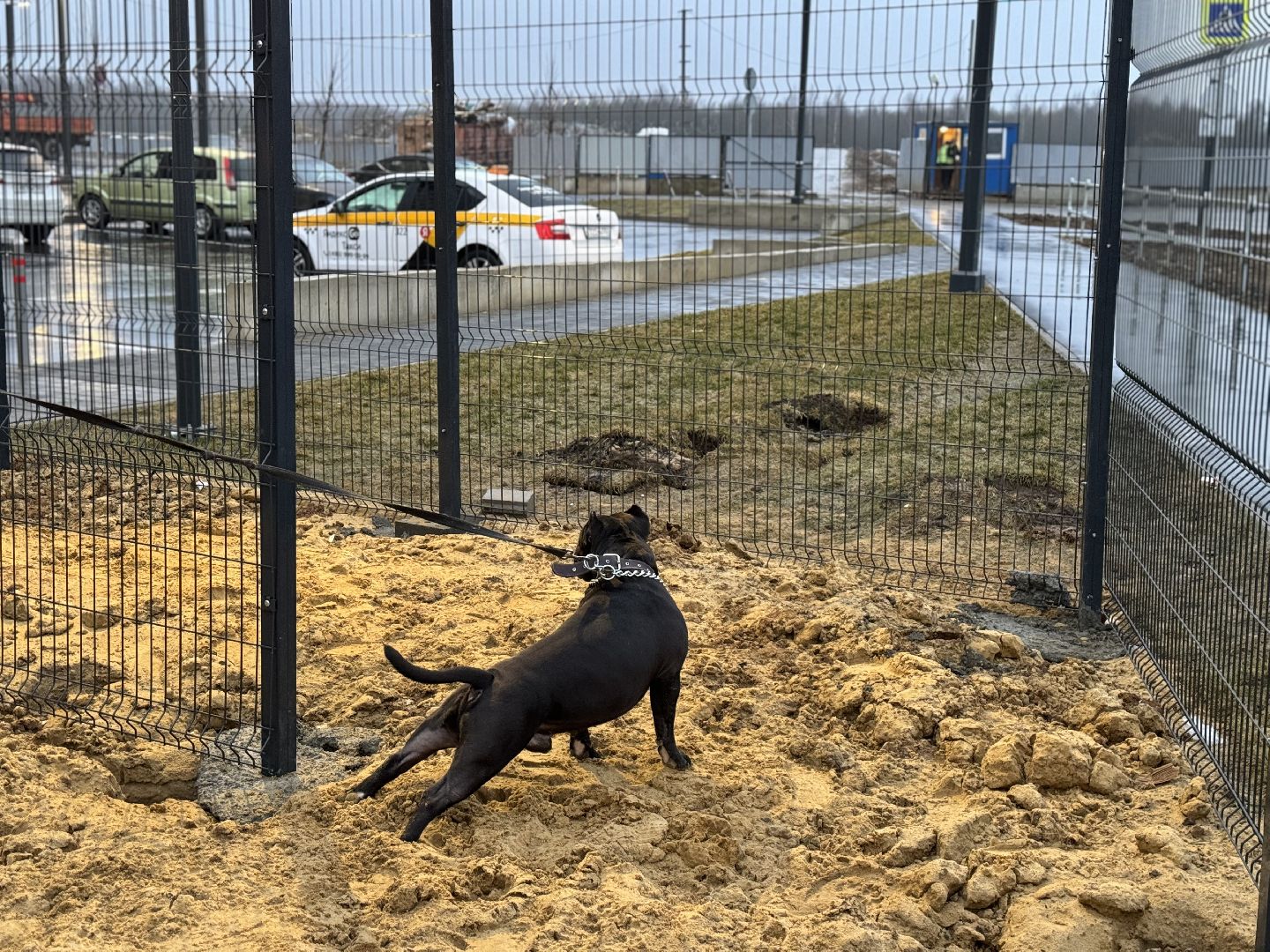 площадка для выгула собак, жк горки парк, кинологическая площадка, вертикалки,