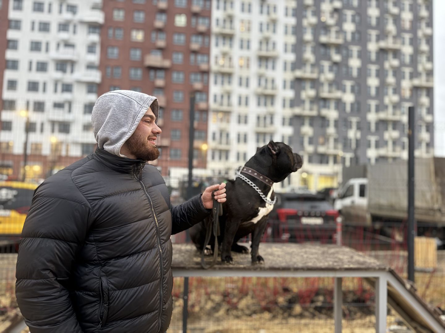 площадка для выгула собак, жк горки парк, кинологическая площадка, вертикалки,