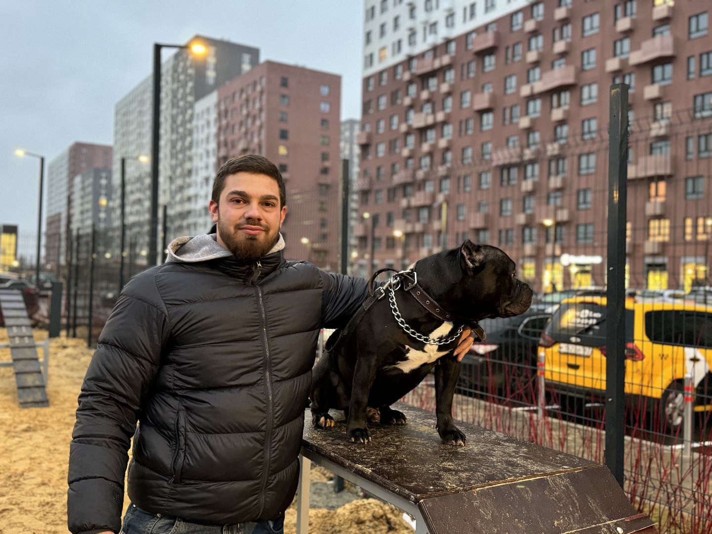 площадка для выгула собак, жк горки парк, кинологическая площадка, вертикалки,