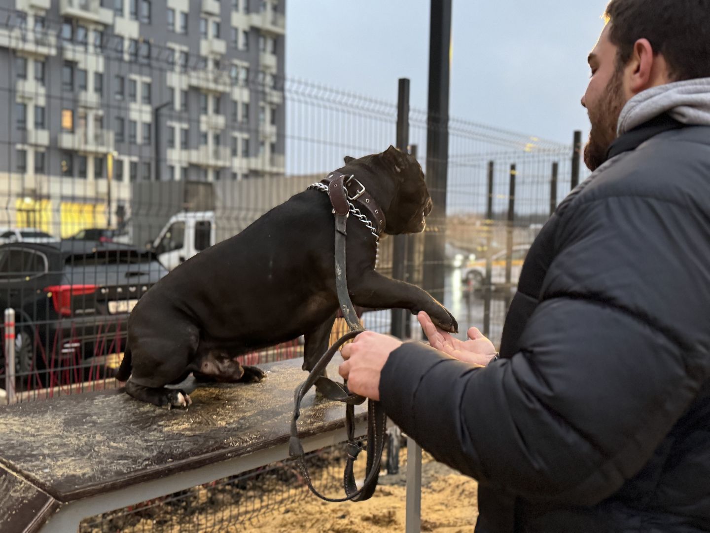 площадка для выгула собак, жк горки парк, кинологическая площадка, вертикалки,
