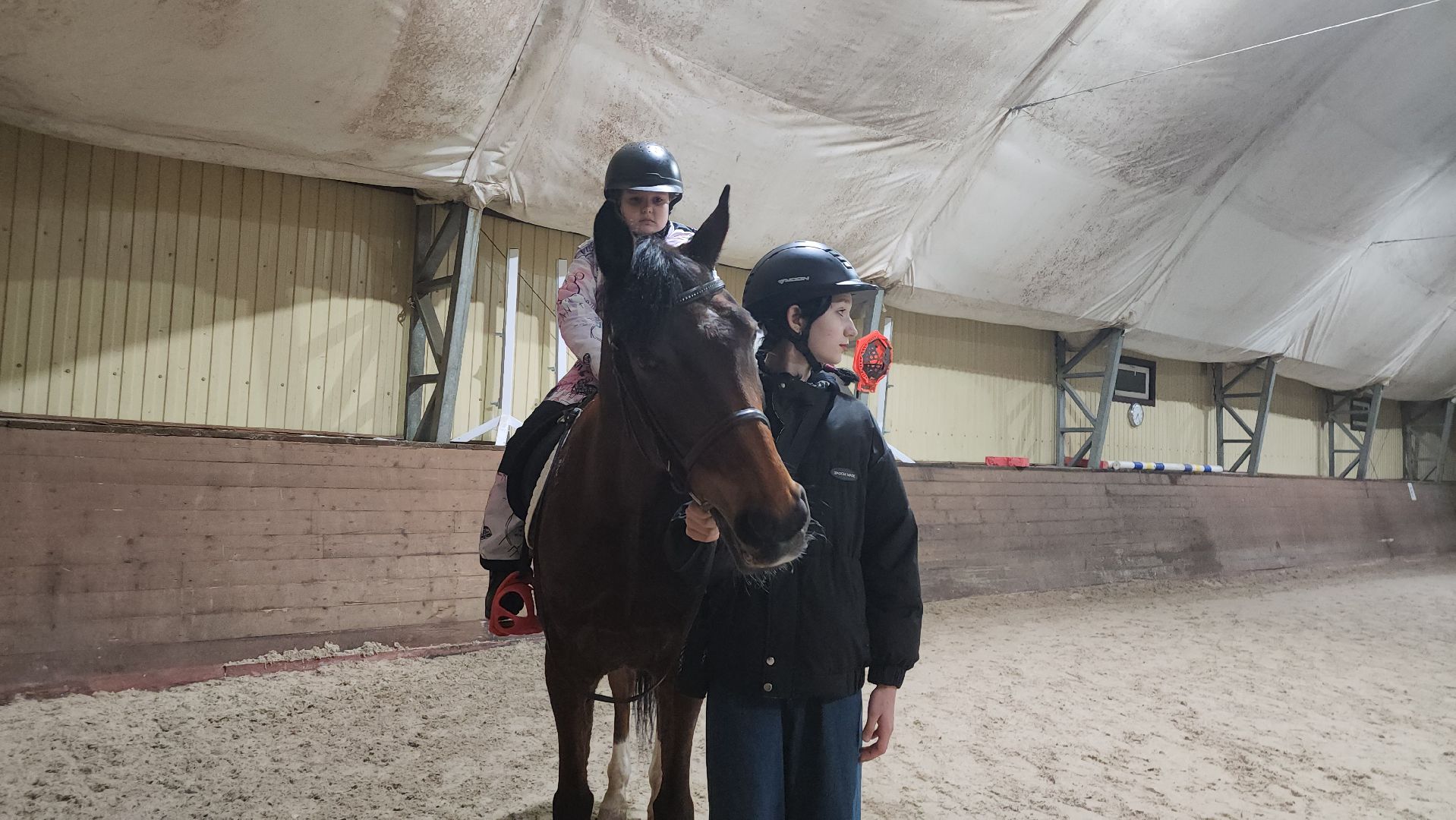 котельники, сшор белка, лошади, конюшня, катание на лошадях, вертикалки,