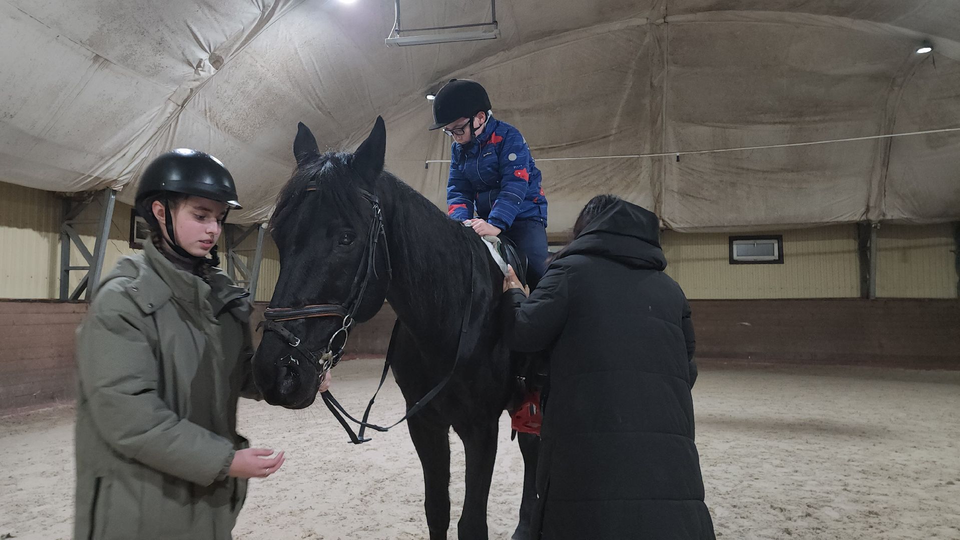 котельники, сшор белка, лошади, конюшня, катание на лошадях, вертикалки,