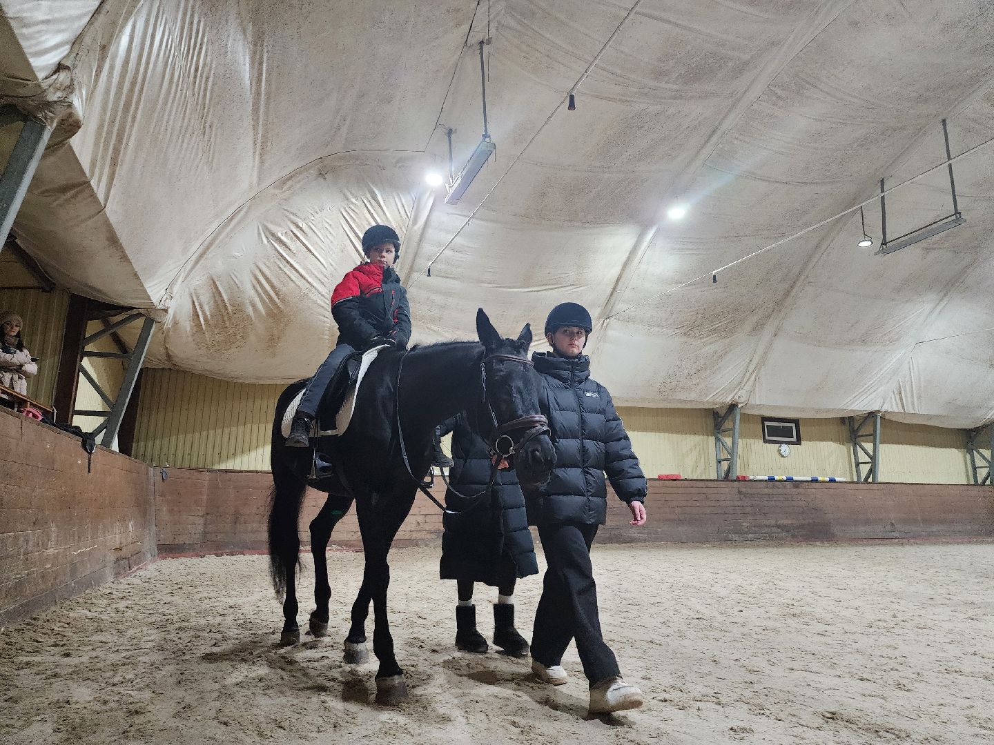 котельники, сшор белка, лошади, конюшня, катание на лошадях, вертикалки,
