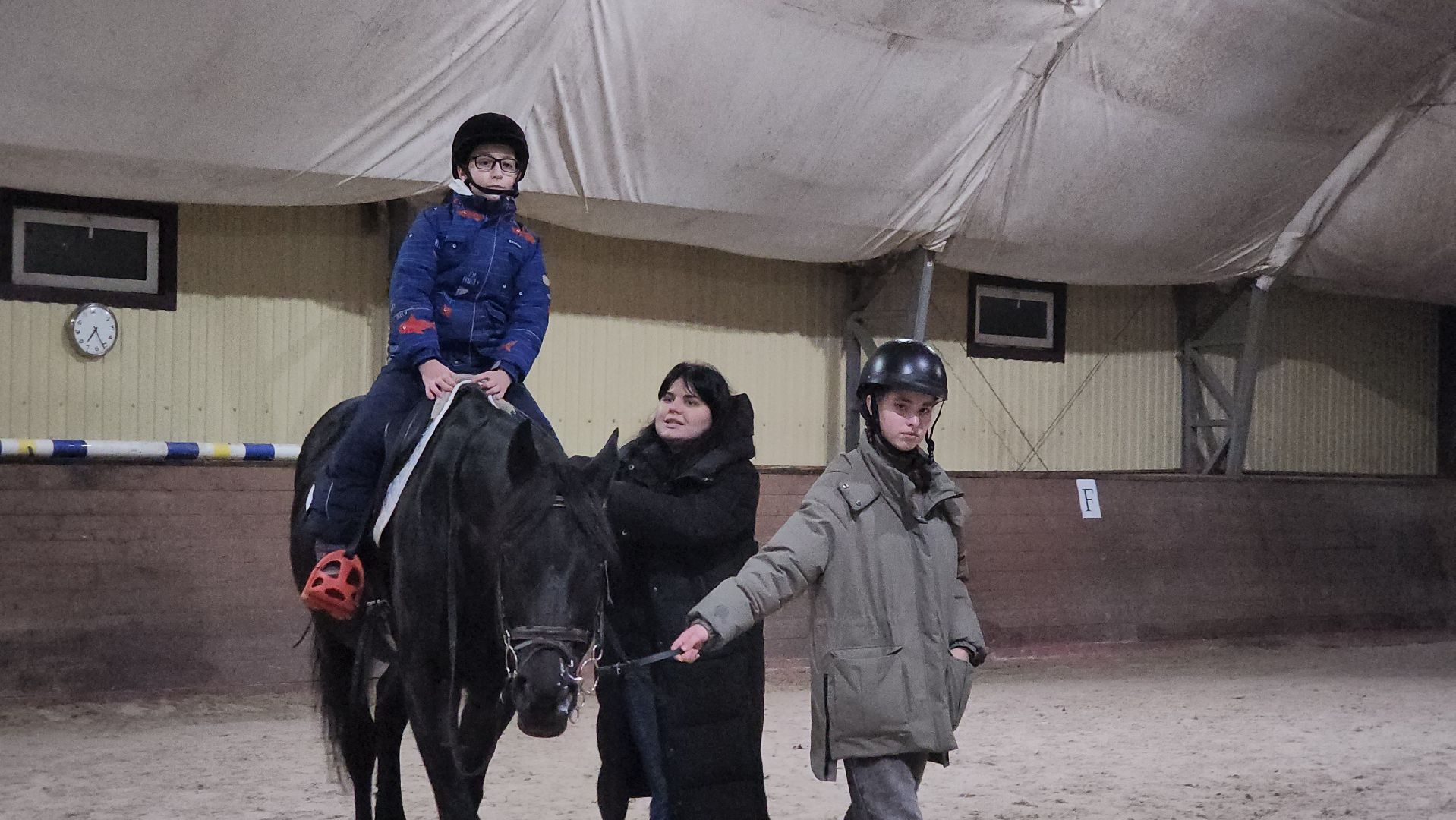 котельники, сшор белка, лошади, конюшня, катание на лошадях, вертикалки,