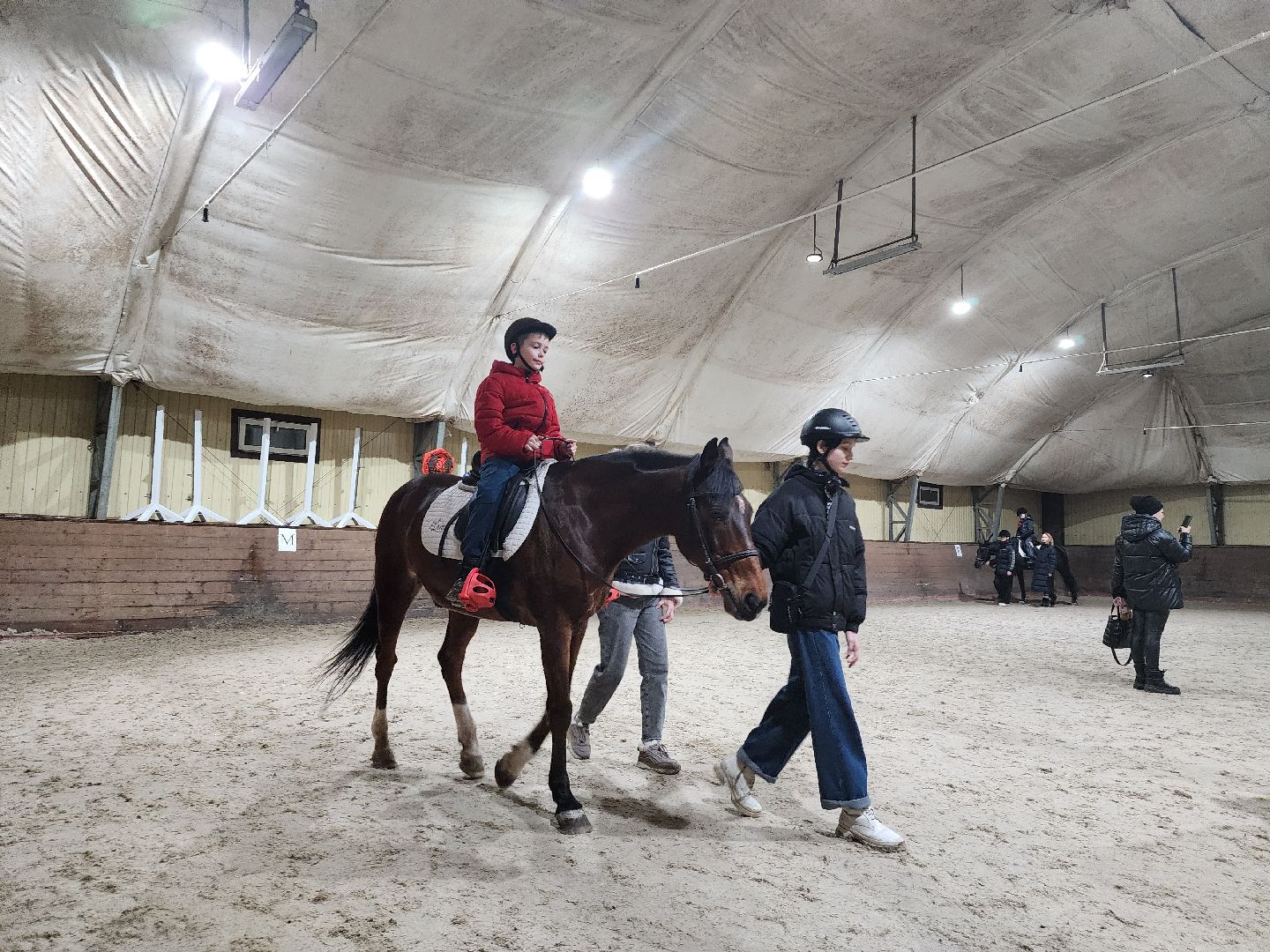 котельники, сшор белка, лошади, конюшня, катание на лошадях, вертикалки,