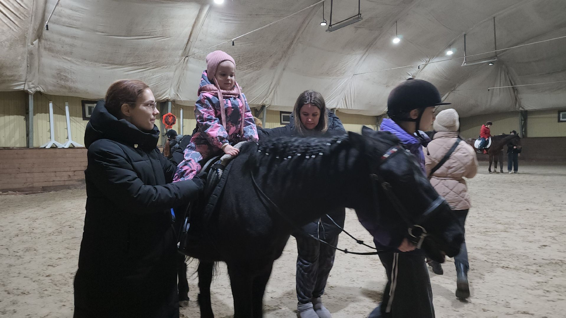 котельники, сшор белка, лошади, конюшня, катание на лошадях, вертикалки,