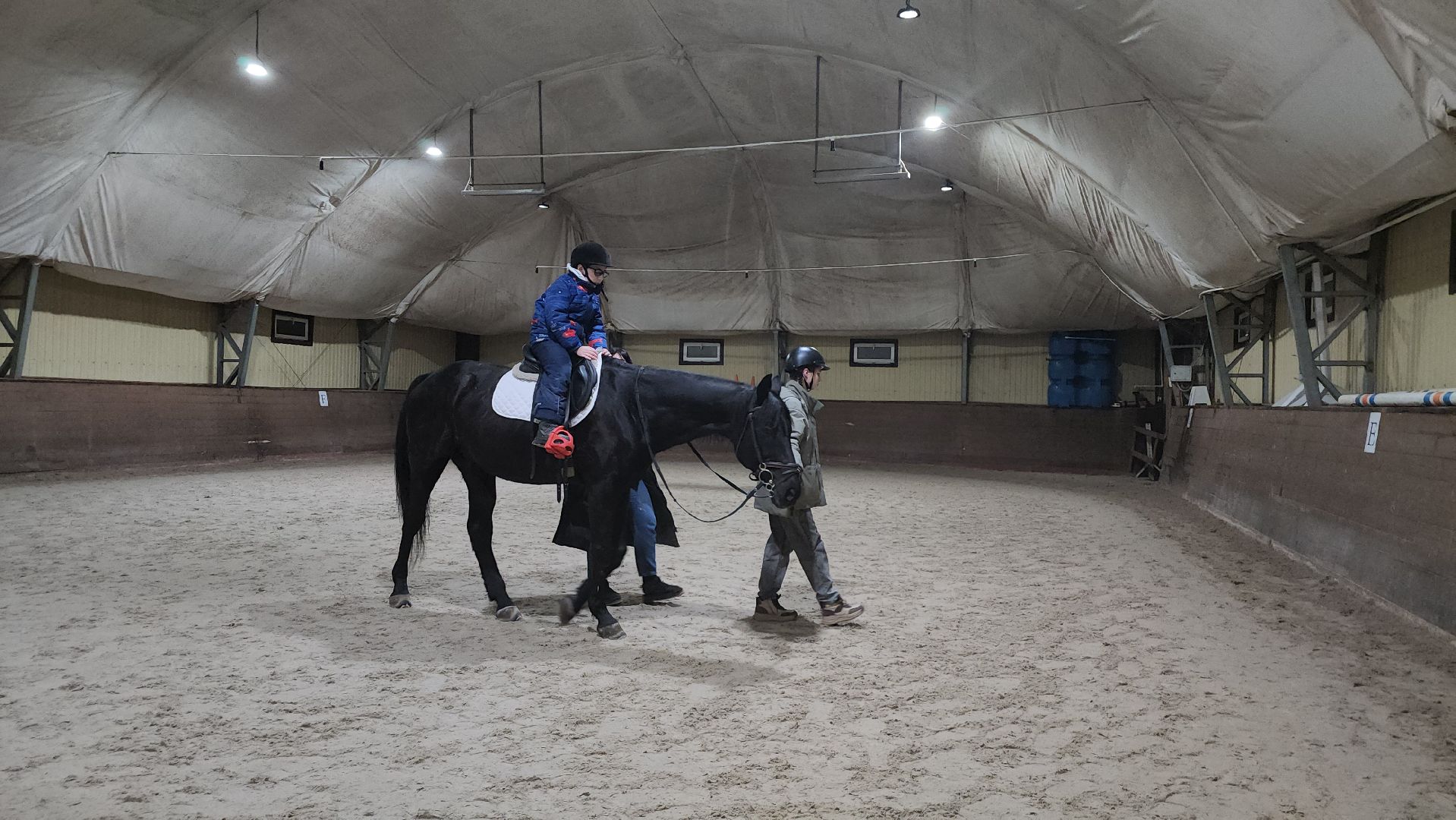 котельники, сшор белка, лошади, конюшня, катание на лошадях, вертикалки,