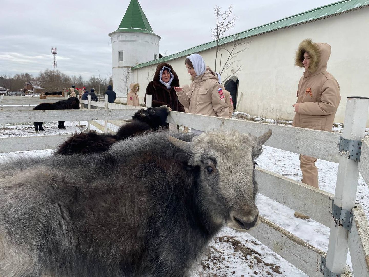 Дмитров, Николо-Пешношский монастырь, Зоопарк, вертикалки,