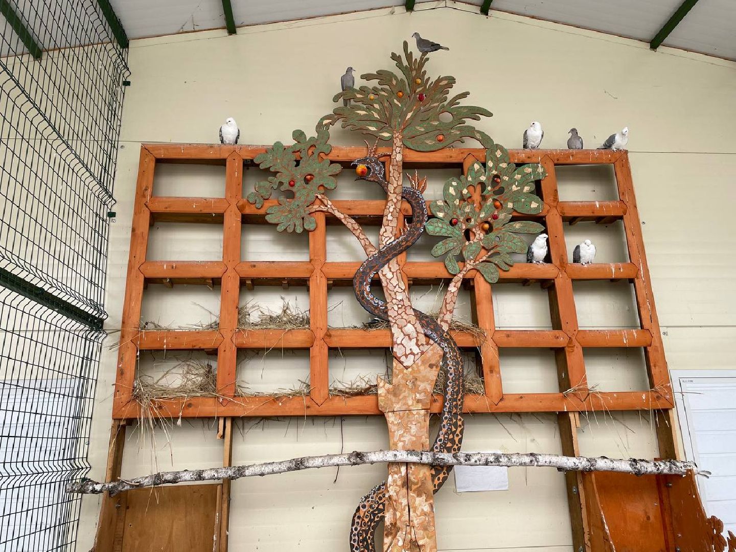 Дмитров, Николо-Пешношский монастырь, Зоопарк, вертикалки,