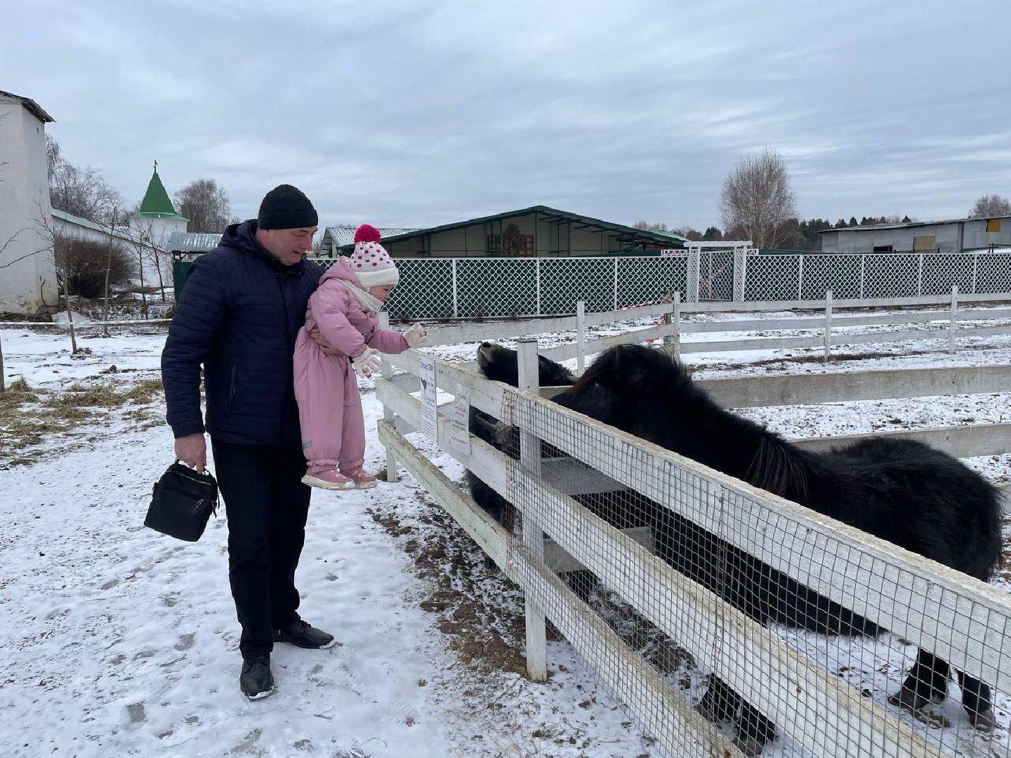 Дмитров, Николо-Пешношский монастырь, Зоопарк, вертикалки,