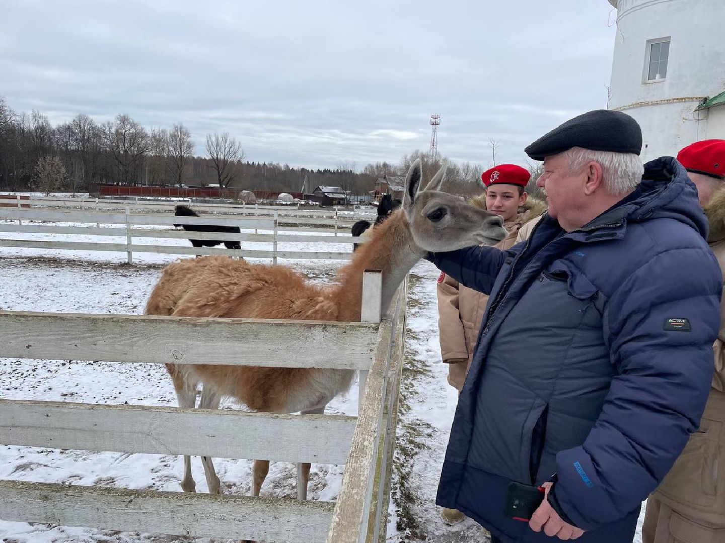 Дмитров, Николо-Пешношский монастырь, Зоопарк, вертикалки,