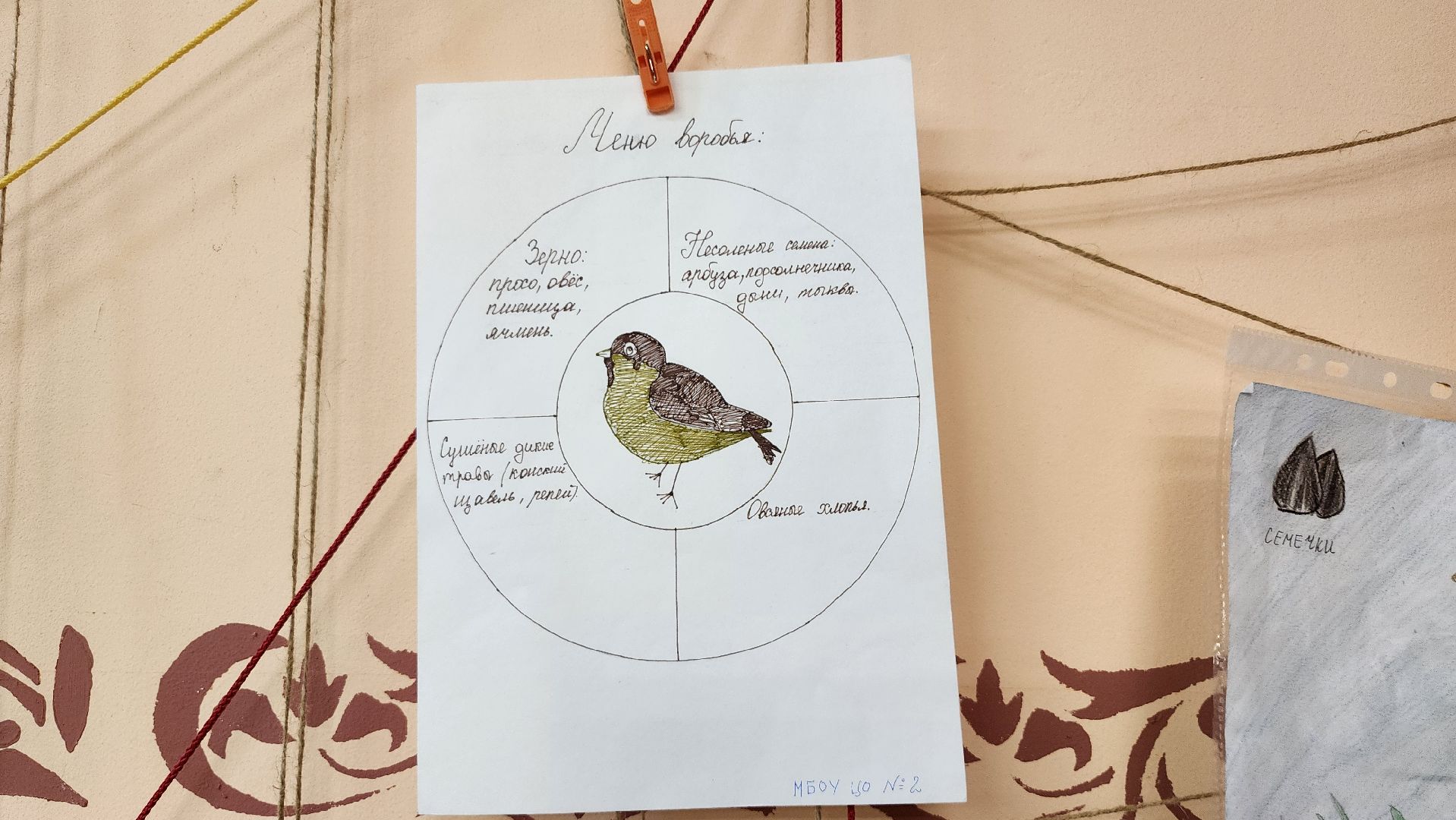 экоакция, Помоги зимующим птицам,экологическая акция, Ногинск, Богородский городской округ,