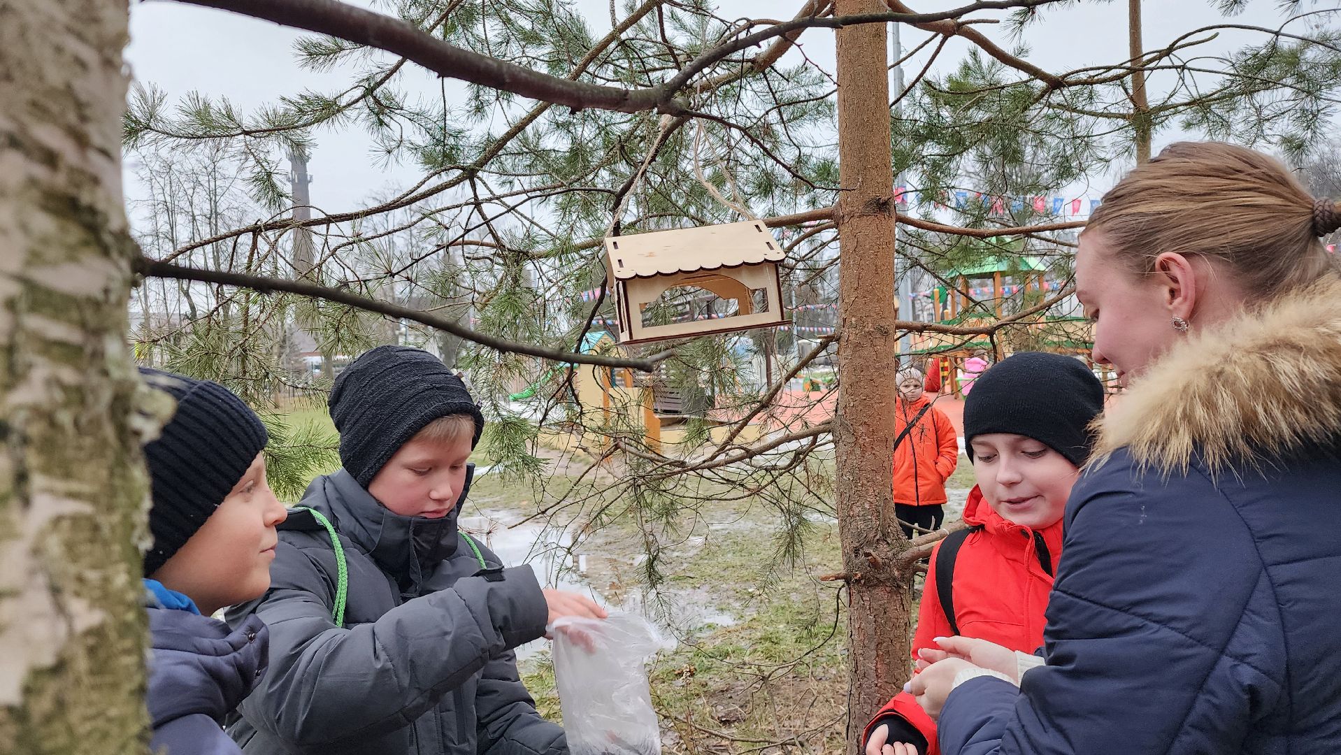 экоакция, Помоги зимующим птицам,экологическая акция, Ногинск, Богородский городской округ,