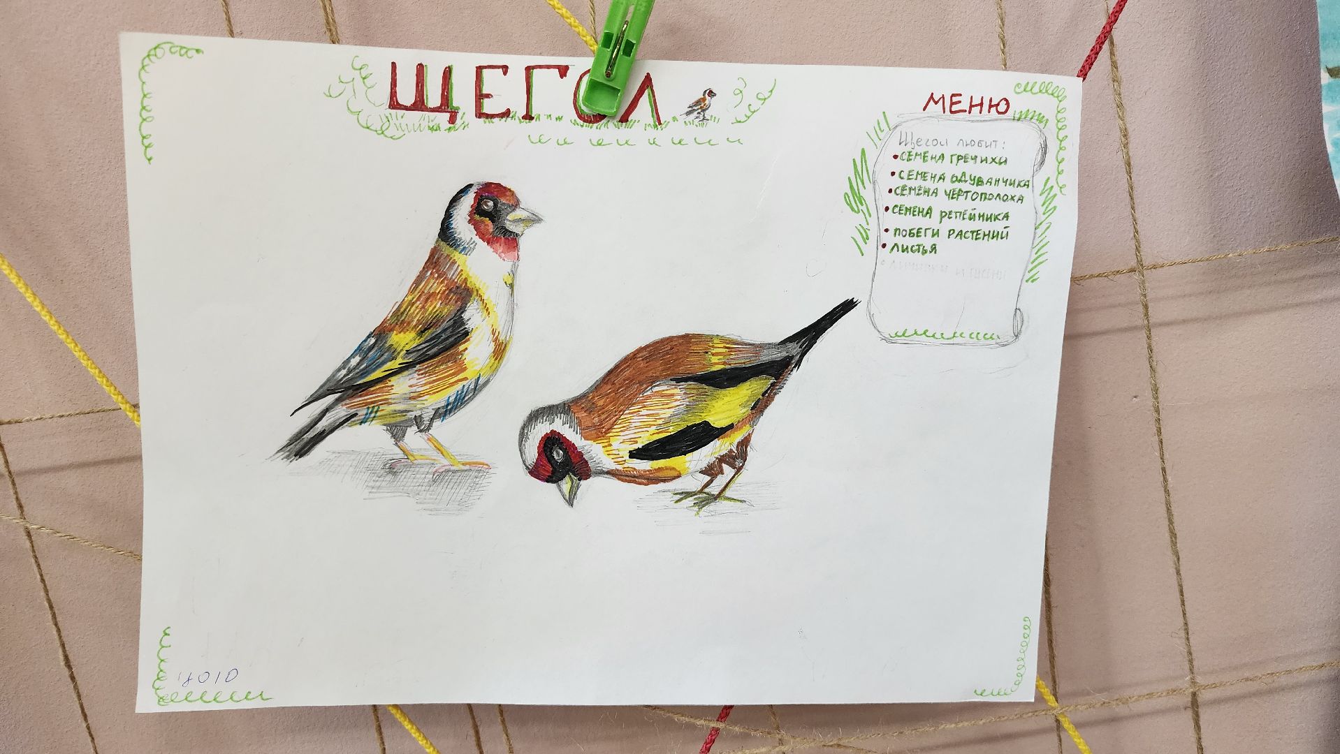 экоакция, Помоги зимующим птицам,экологическая акция, Ногинск, Богородский городской округ,