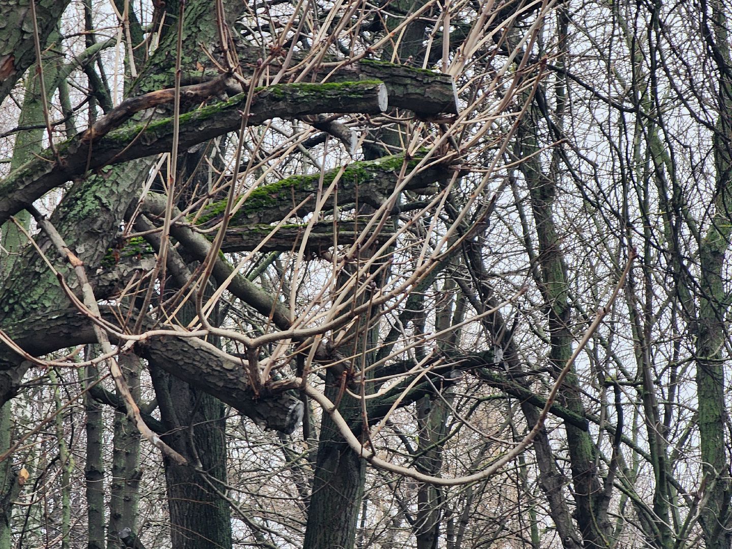 Коломна, благоустройство, формирование комфортной городской среды,