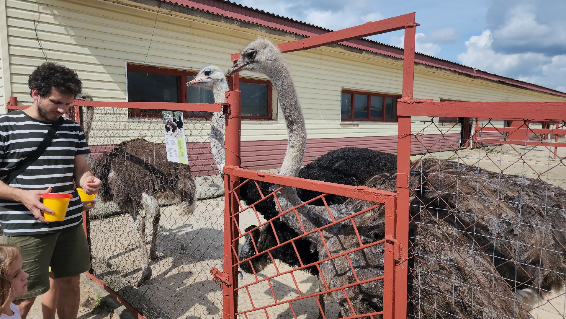 серпухов, подмосковье, дом мороженого, музей кукол,